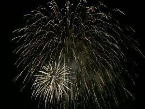 Firework silver burst